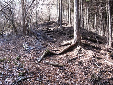 20161216hike (170)